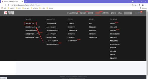 地图API在Web服务器及软件服务中的应用 JavaScript实用案例详解